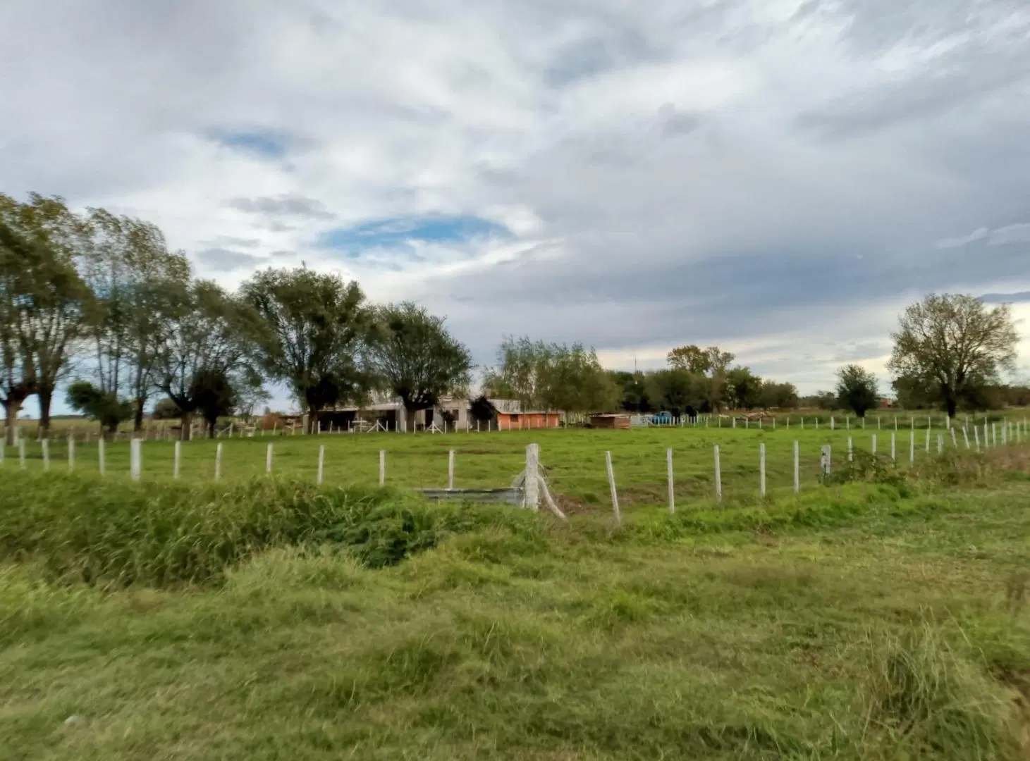 Campo en Maximo Paz 4