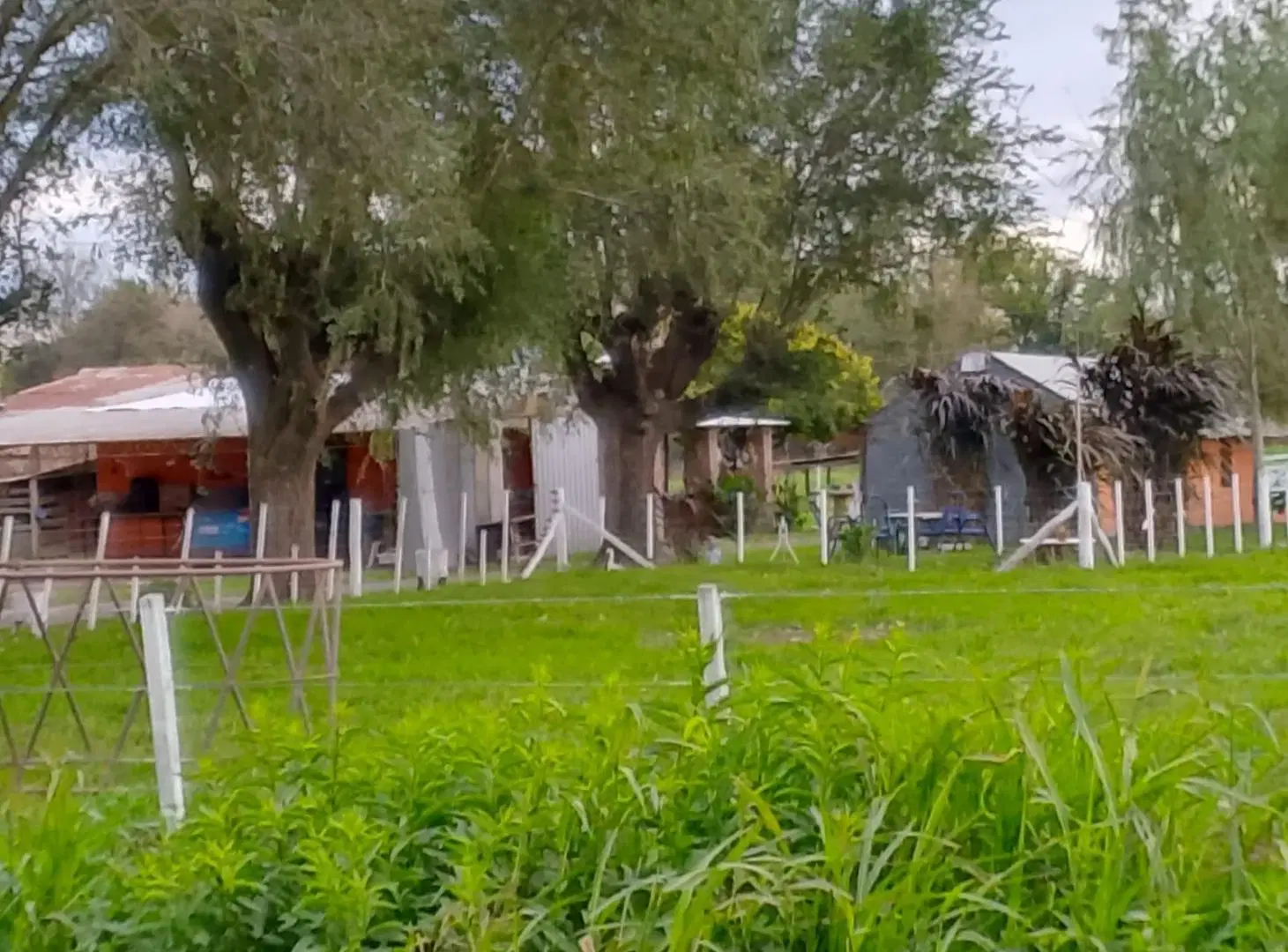 Campo en Maximo Paz 2