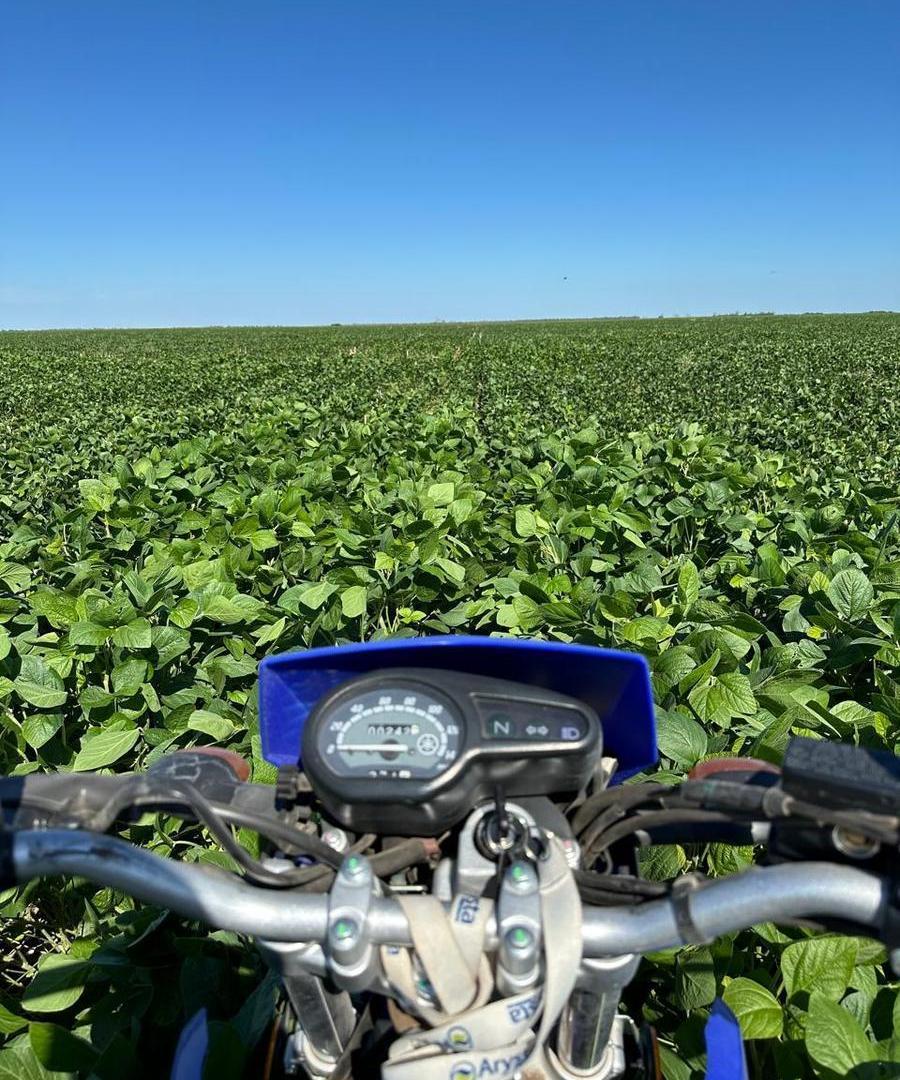 Foto de Campo en Banderas, Santiago del Estero 1.513 hectáreas, imagen 2