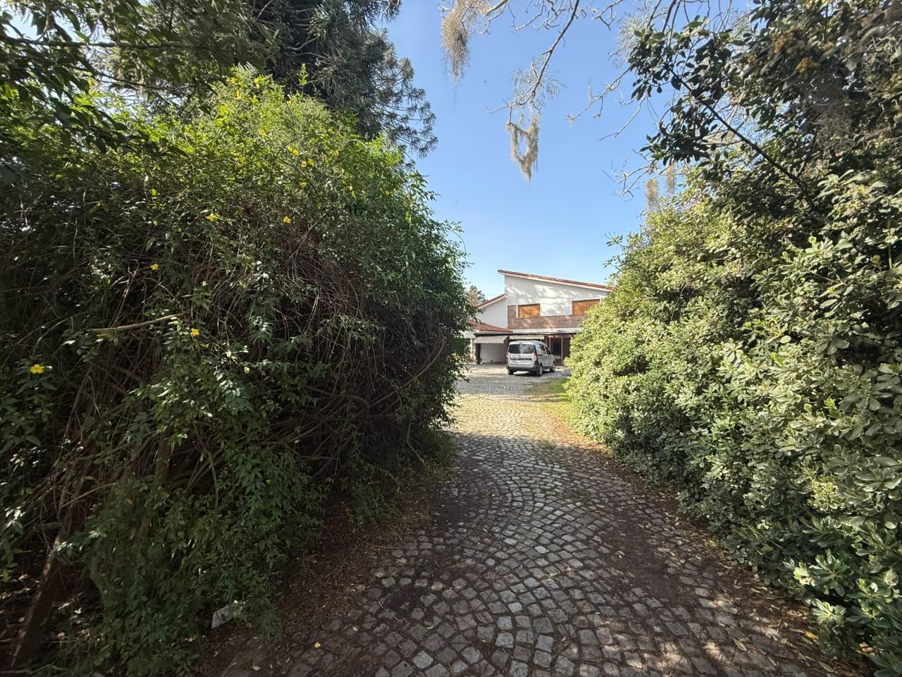 Foto de Casa con amplio lote potencial en Funes, imagen 3
