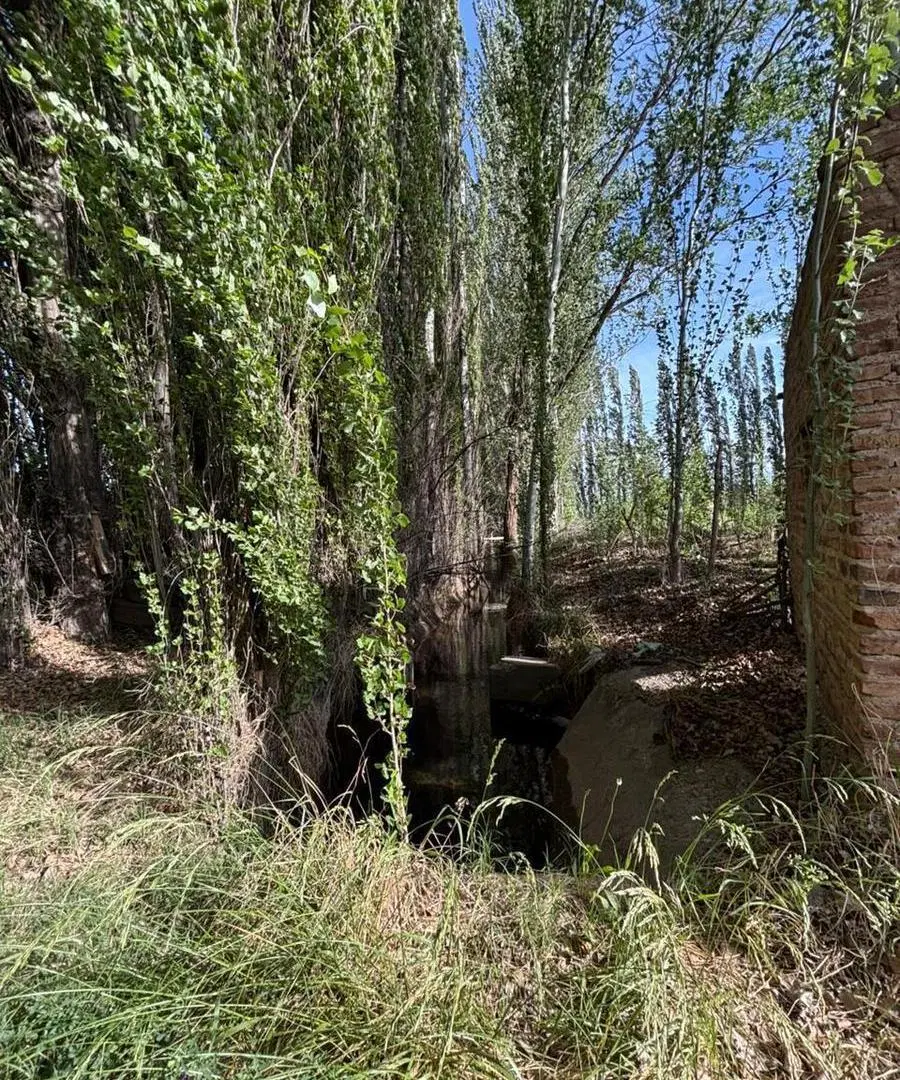 Venta terreo sobre Ruta 7 - Centenario 7