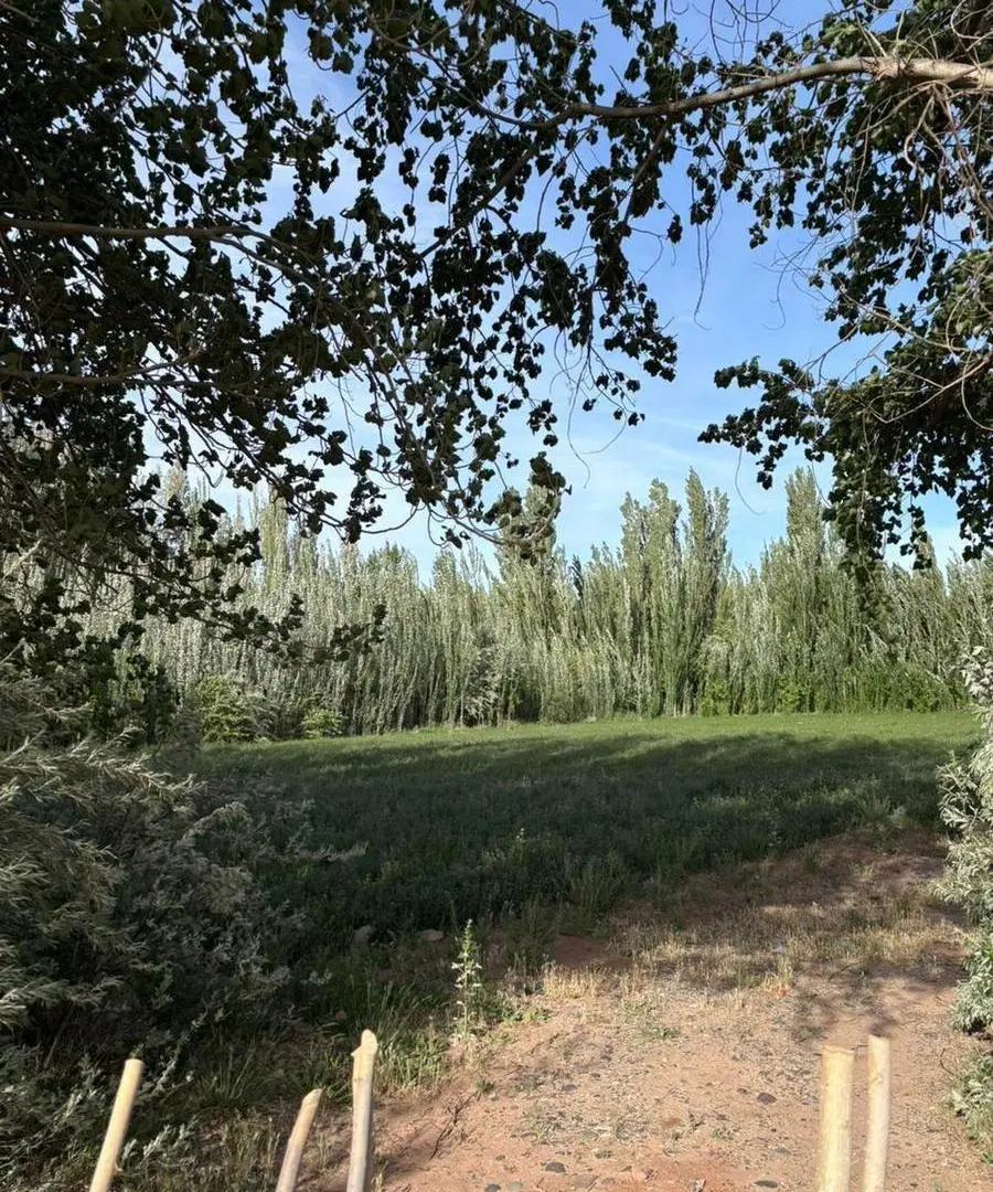 Venta terreo sobre Ruta 7 - Centenario 5
