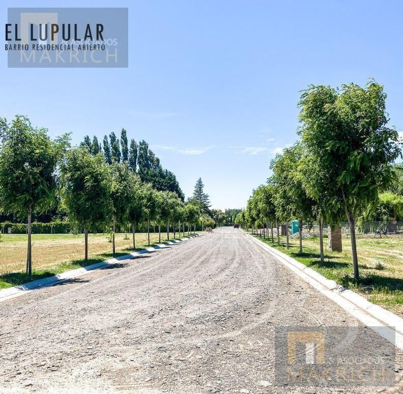 Foto de Venta terreno en esquina a 9 km del centro de la Ciudad de Nequén, imagen 5