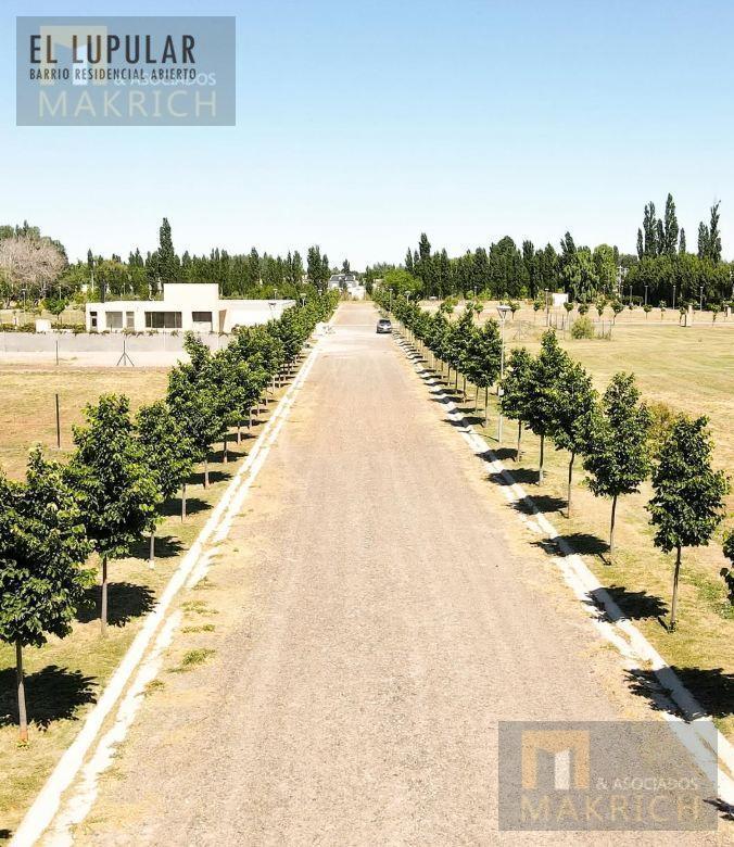 Foto de Venta terreno en esquina a 9 km del centro de la Ciudad de Nequén, imagen 4