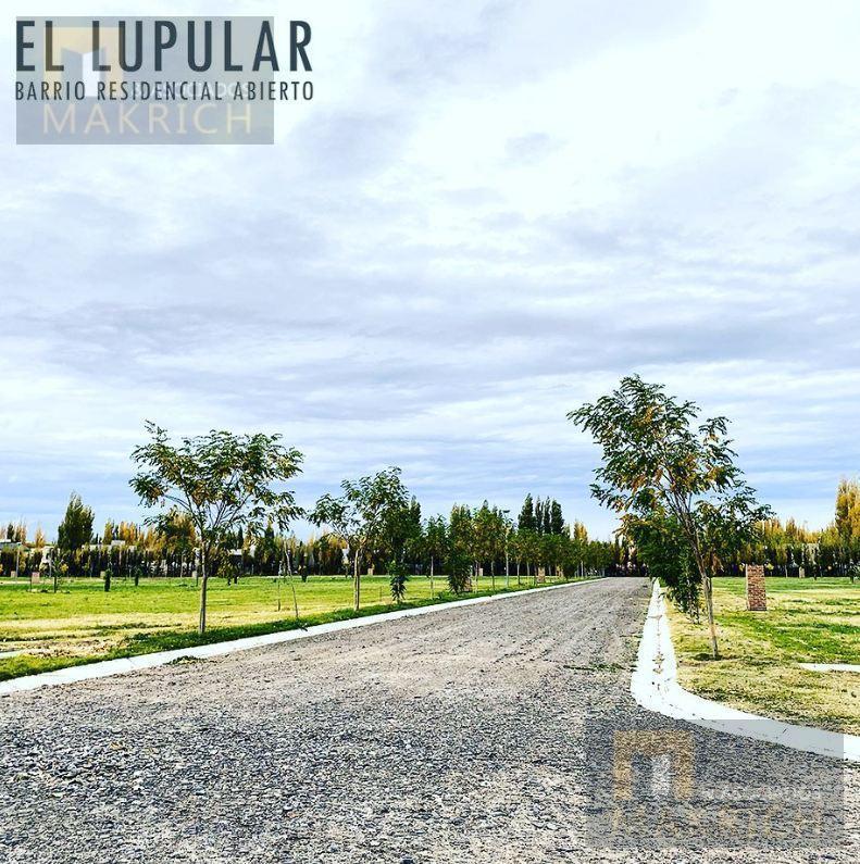 Foto de Venta terreno en esquina a 9 km del centro de la Ciudad de Nequén, imagen 2