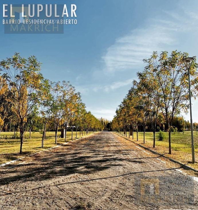 Foto de Venta terreno en esquina a 9 km del centro de la Ciudad de Nequén, imagen 3