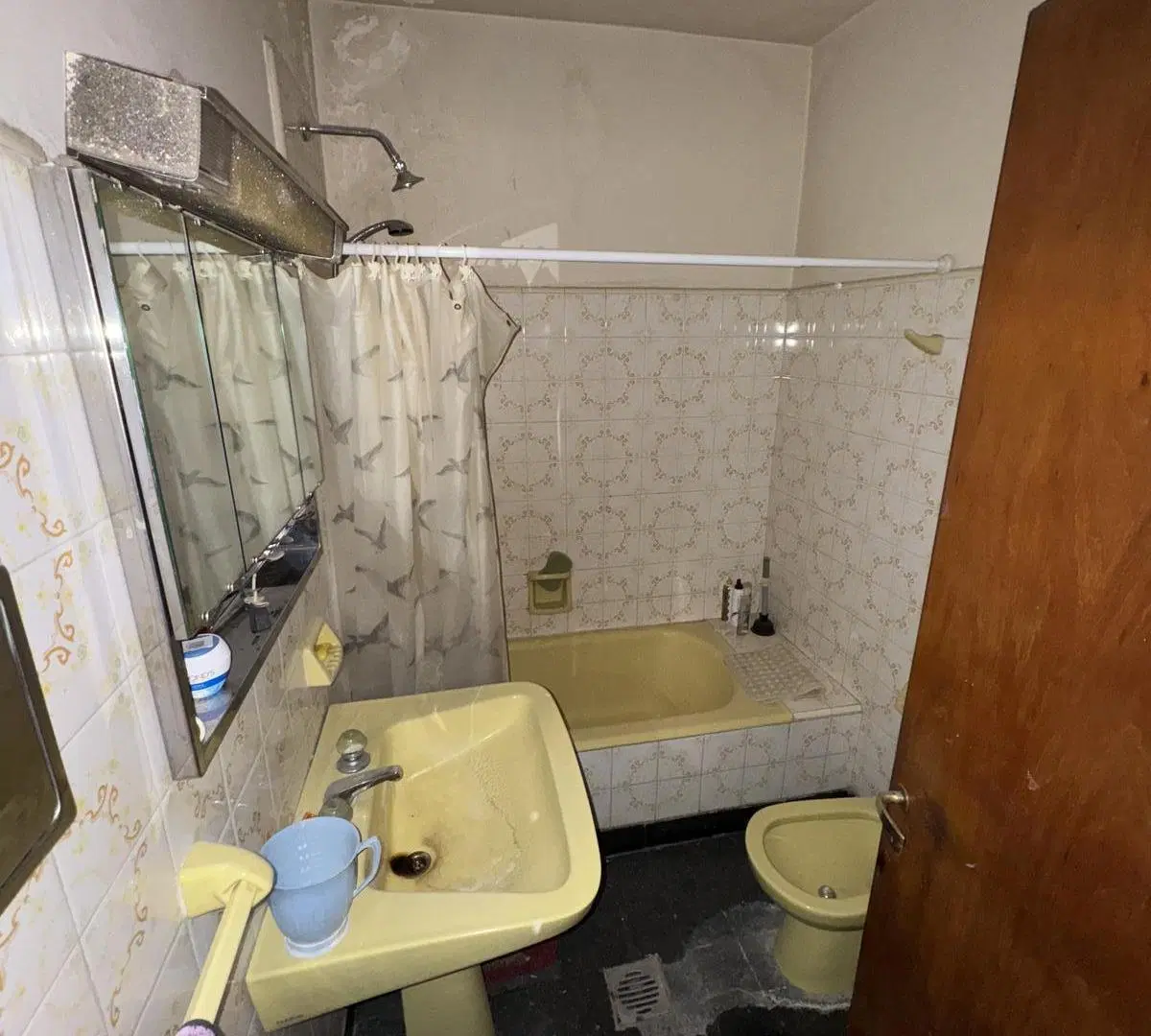 Casa en Área Centro Este 5