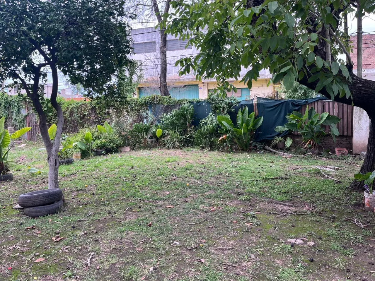 Terreno en Las Delicias 3