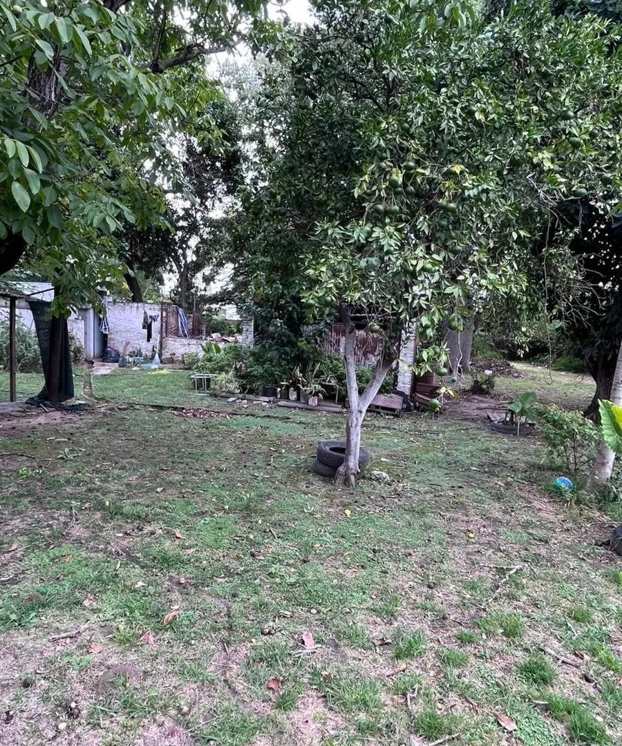 Terreno en Las Delicias 8