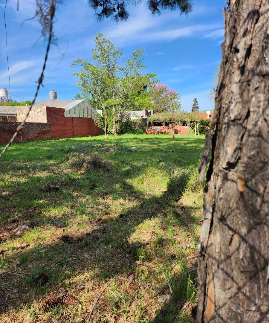 Foto de Terreno en Funes, imagen 2