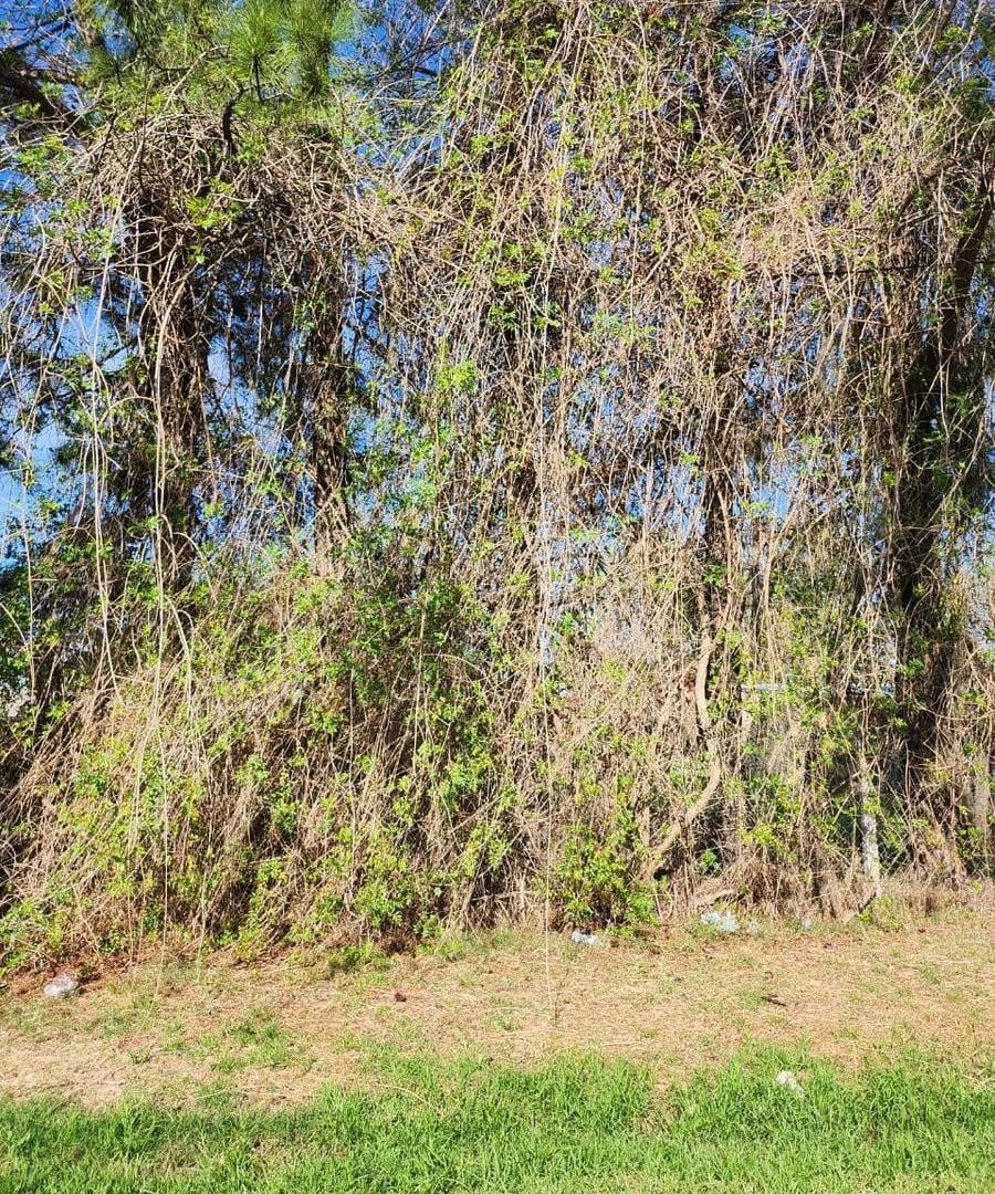 Foto de Terreno en Funes, imagen 4