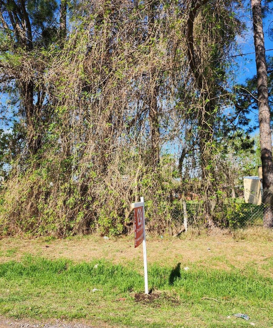 Foto de Terreno en Funes, imagen 5
