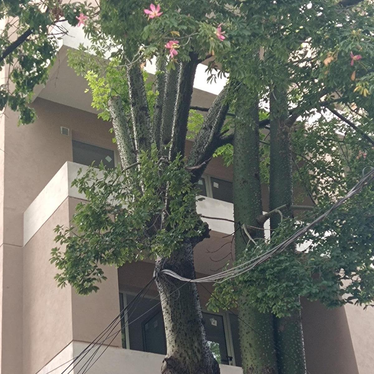 Monoambiente en Venta 3