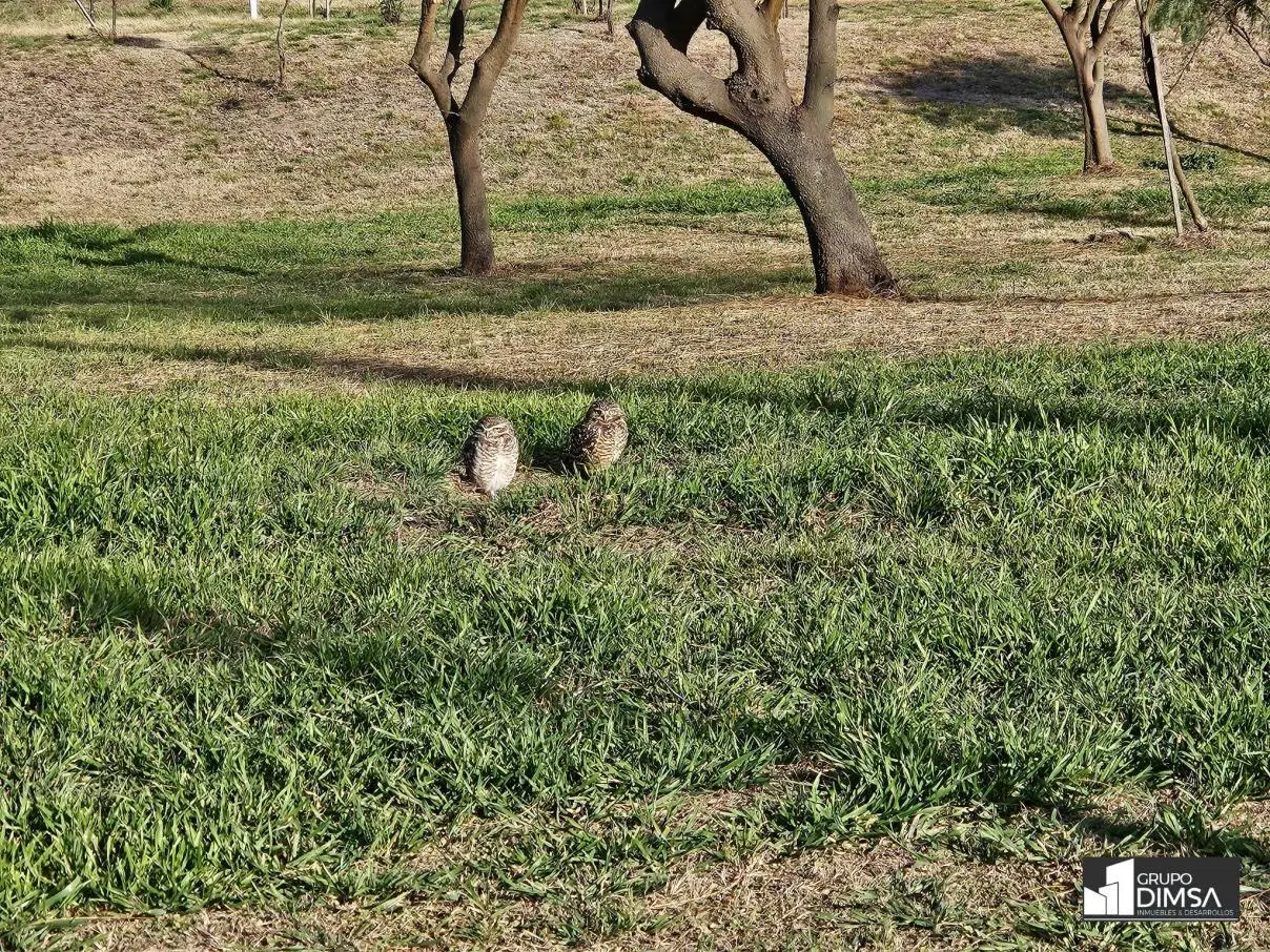 Lote con ALTURA en Barrio Cerrado TEJAS 4 - Seguridad 24hs - Naturaleza - Vistas a las sierras 5