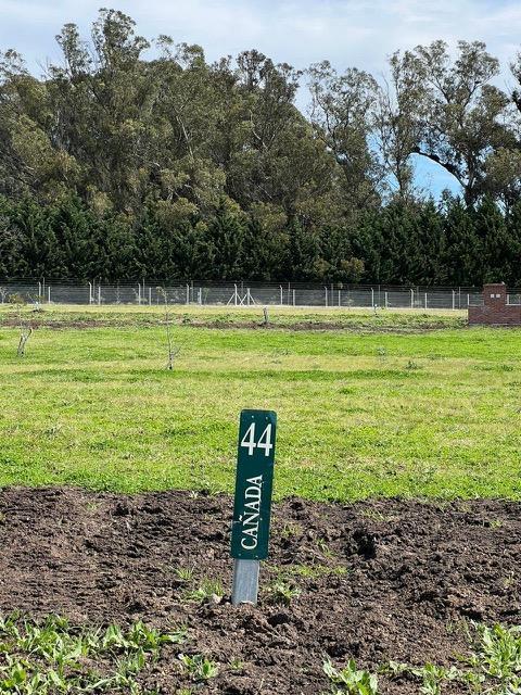 Terreno en Jorge Newbery