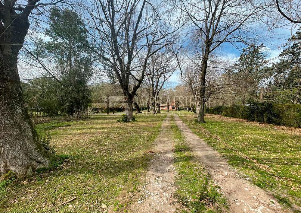 Quinta en Barrio Los Jazminez 4
