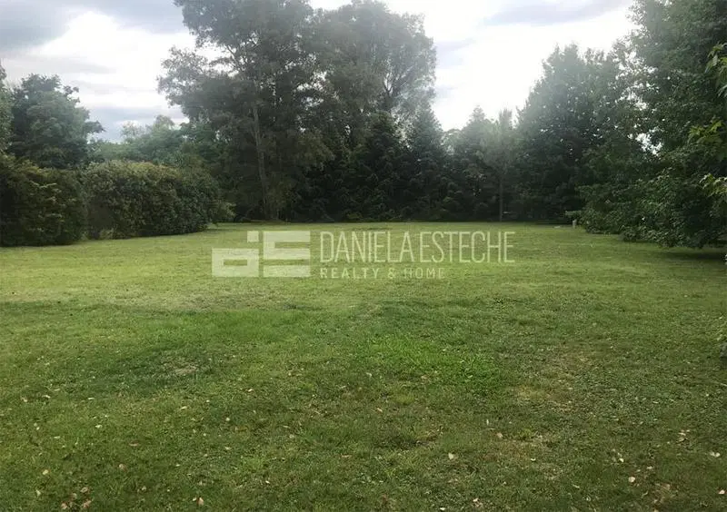 D. Esteche Realty 1