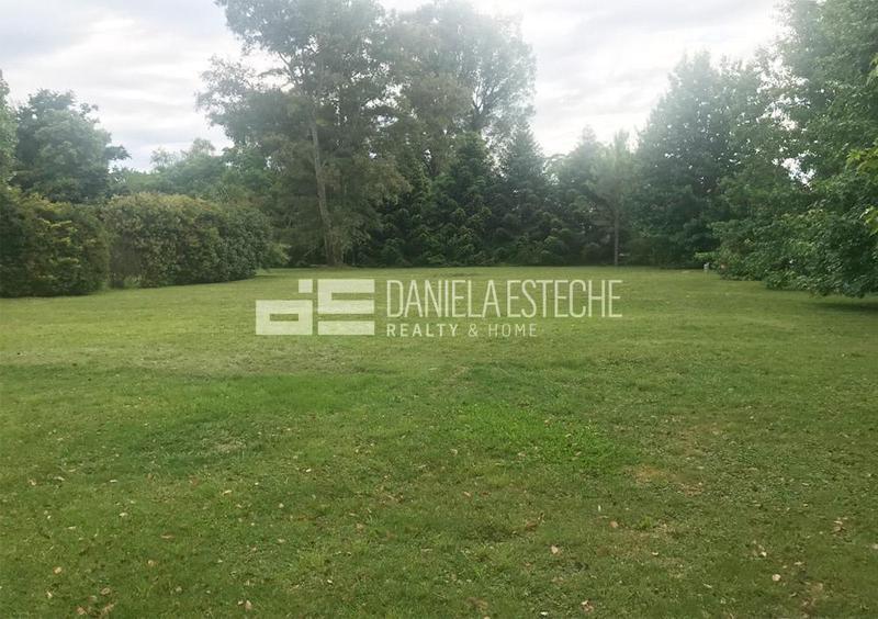 D. Esteche Realty