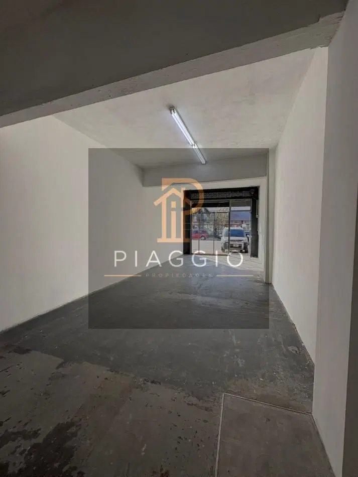 LOCAL EN ALQUILER SOBRE AV. MITRE IMPECABLE 7