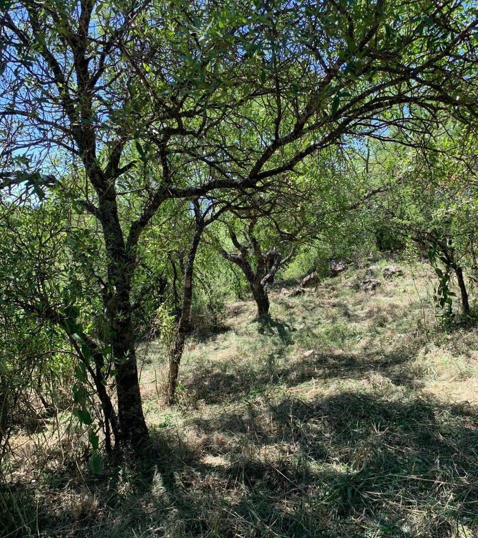 Foto de LOTE EN CUESTA BLANCA A METROS DE LAS CINCO ESQUINAS., imagen 1