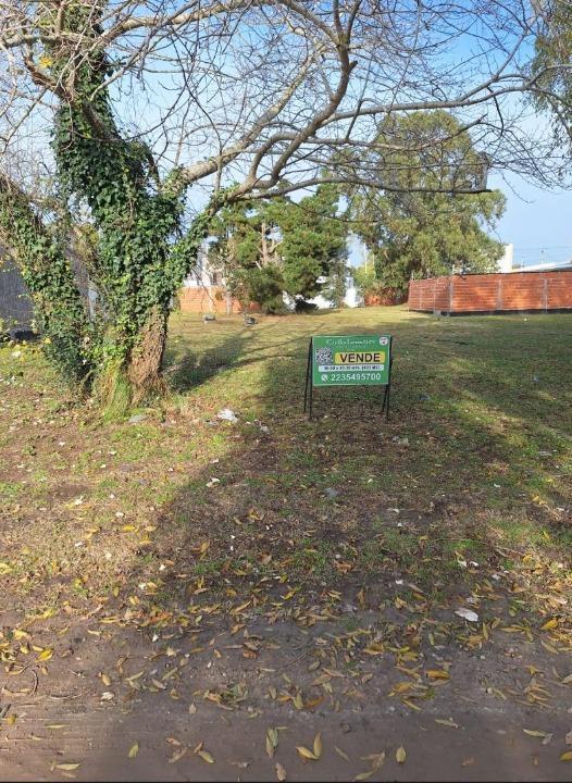 Foto de Terreno en Barrio Los Pinares, imagen 2