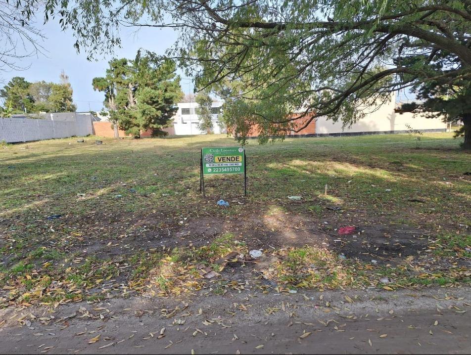 Foto de Terreno en Barrio Los Pinares, imagen 3