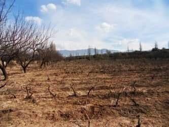 Terreno Para La Venta 1