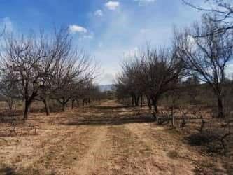 Terreno Para La Venta 2