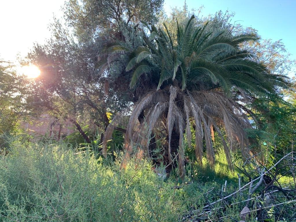 Lote en Venta 4