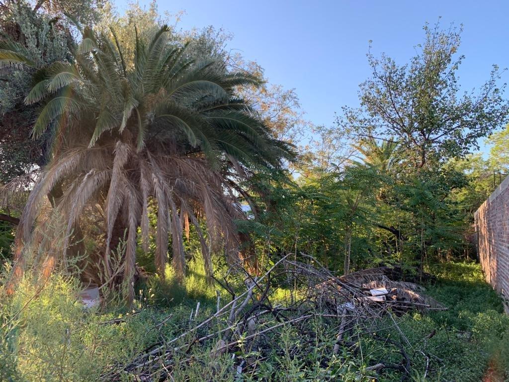 Lote en Venta 2