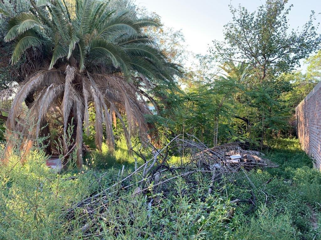 Lote en Venta 5