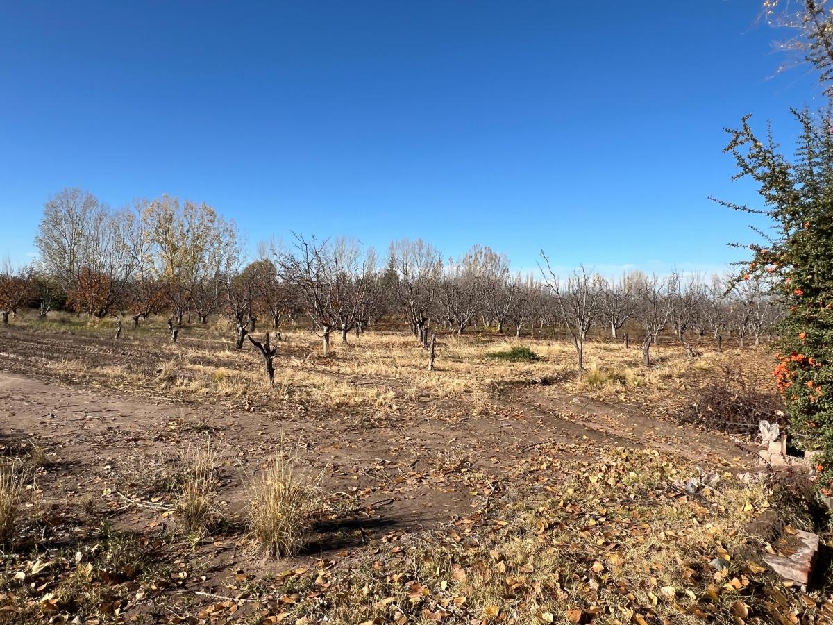 Lote en Las Compuertas 2