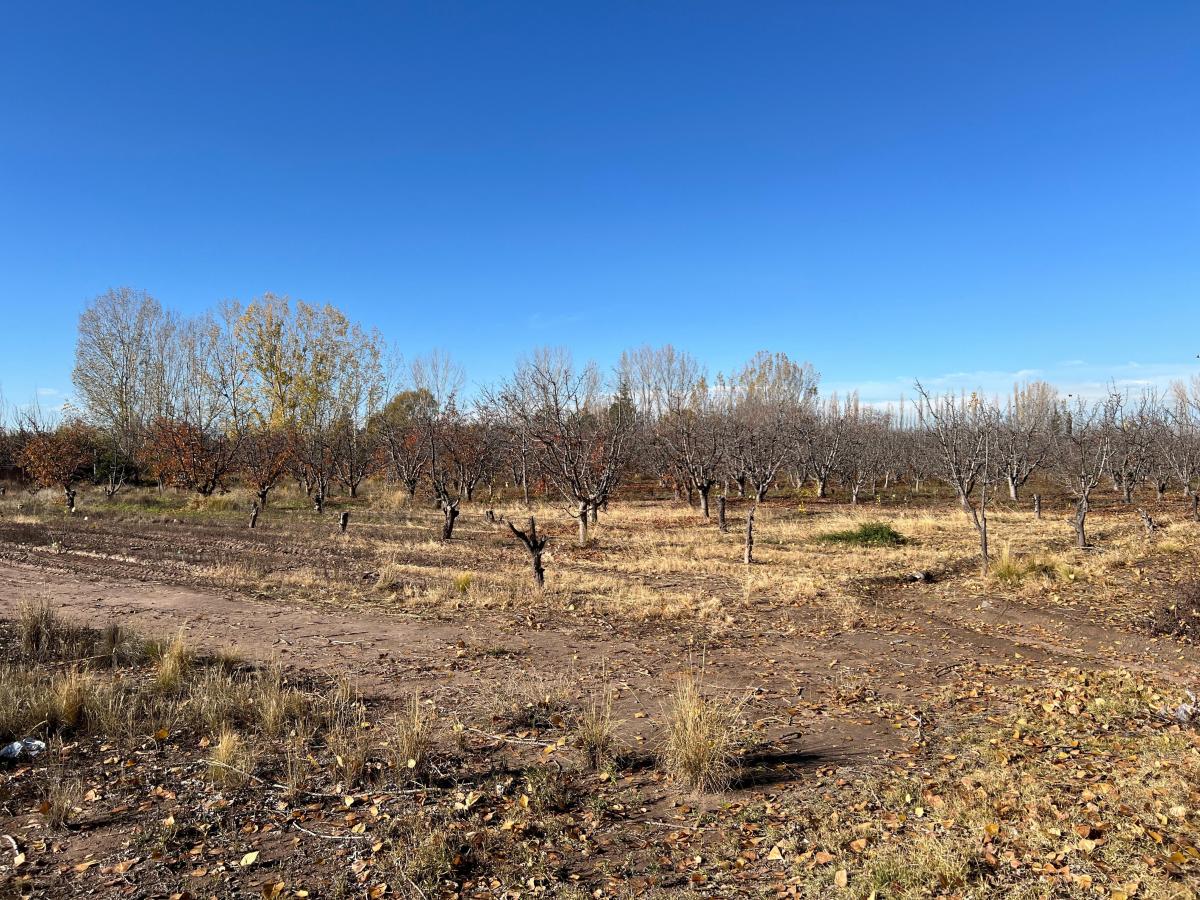 Lote en Las Compuertas 1