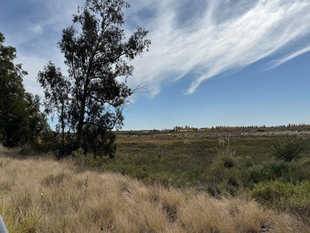 VENDEMOS TERRENO EN MAIPU 5