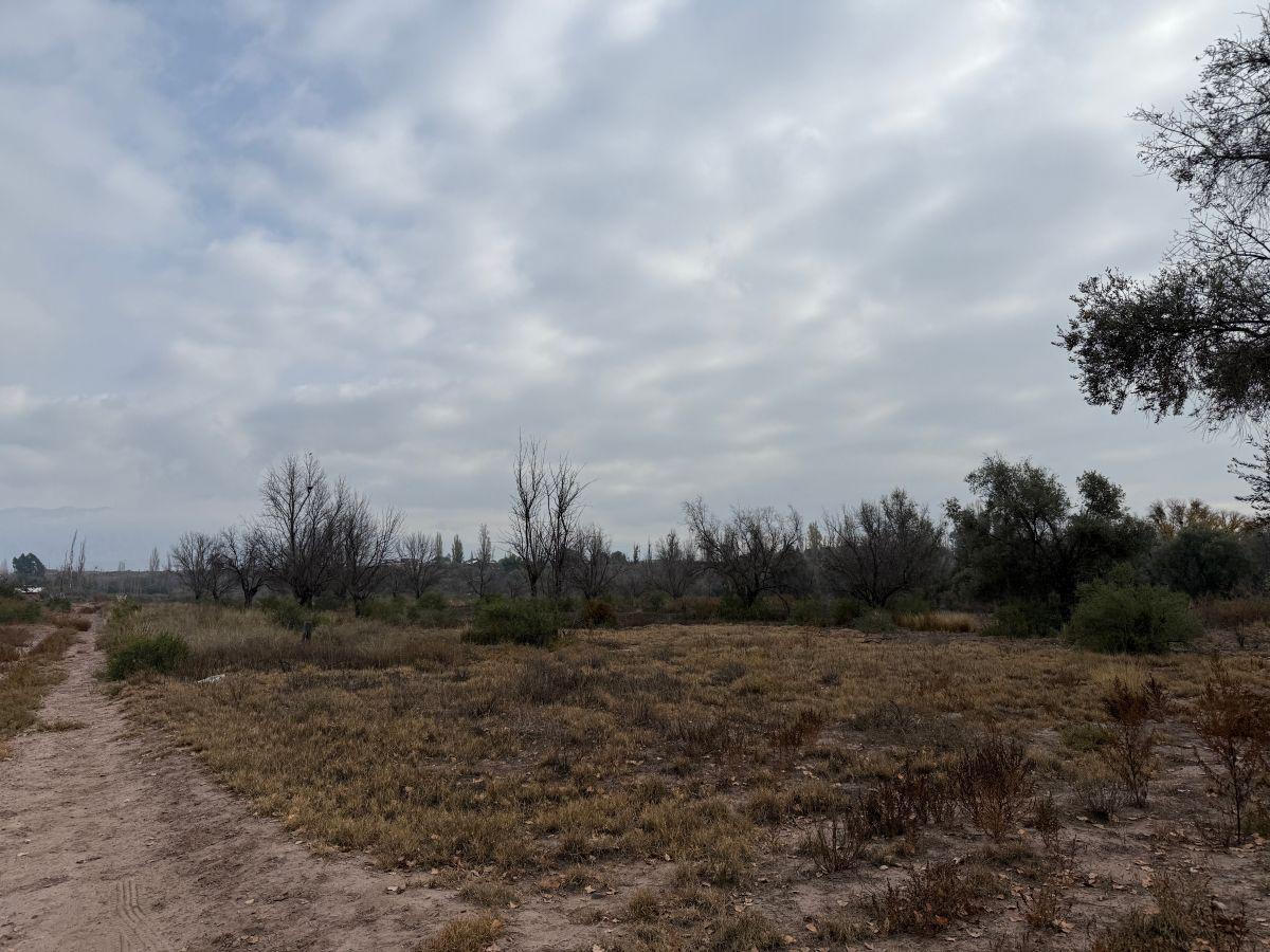 ALQUILER TERRENO EN VISTALBA