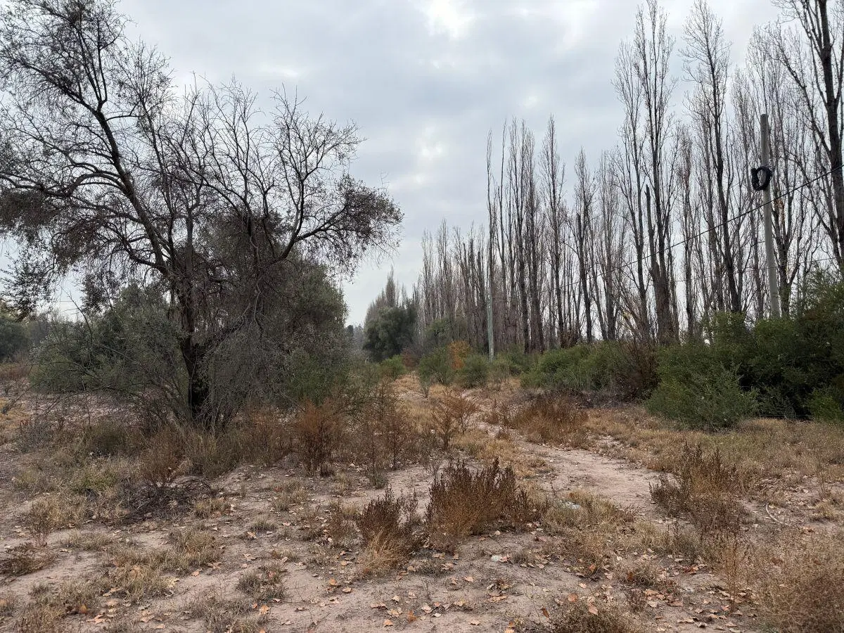 ALQUILER TERRENO EN VISTALBA 5