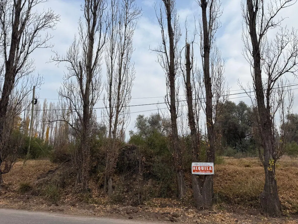 ALQUILER TERRENO EN VISTALBA 4