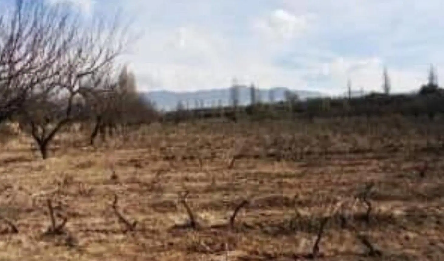 ALQUILER TERRENO EN VISTALBA 2