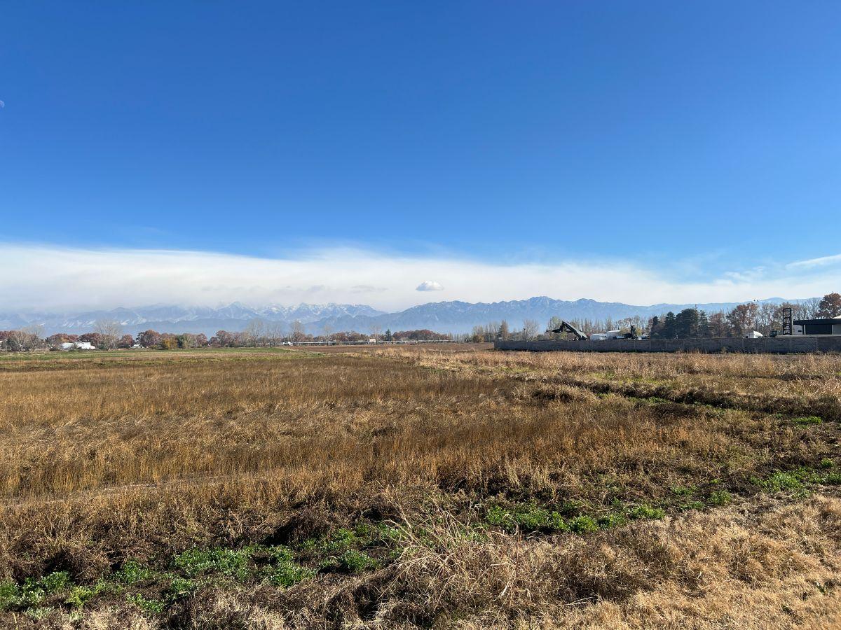 Foto de Venta terreno Ruta 40 y Olavarria, lujan de cuyo, imagen 4