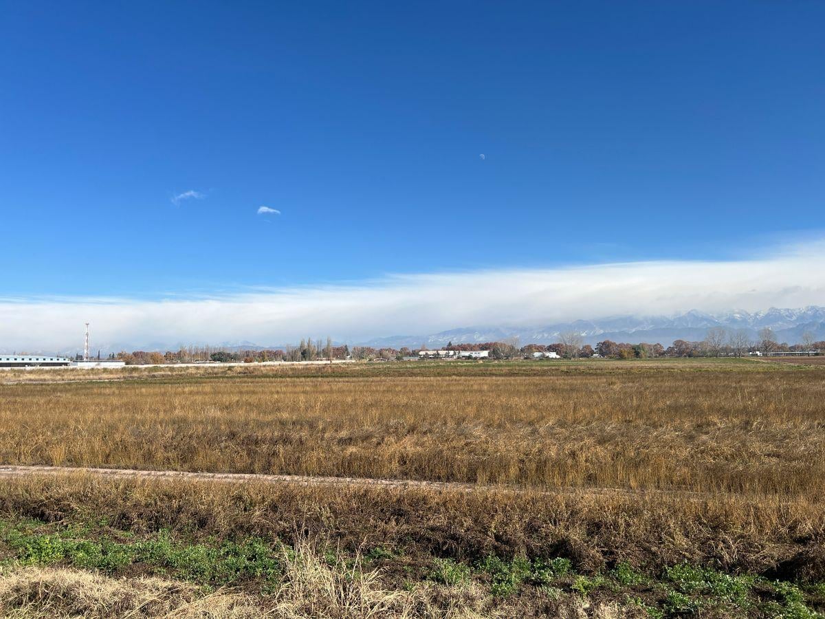 Foto de Venta terreno Ruta 40 y Olavarria, lujan de cuyo, imagen 3