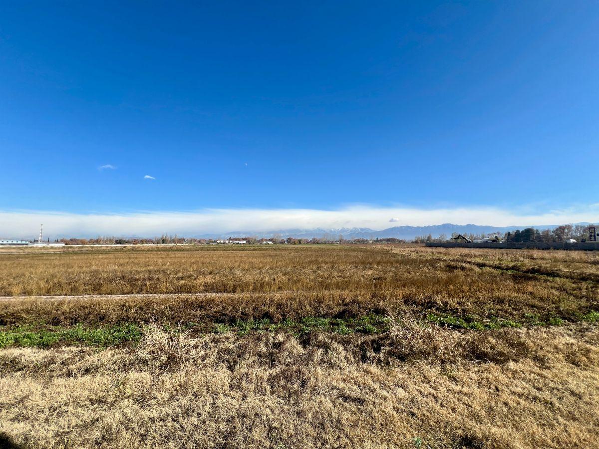 Foto de Venta terreno Ruta 40 y Olavarria, lujan de cuyo, imagen 5