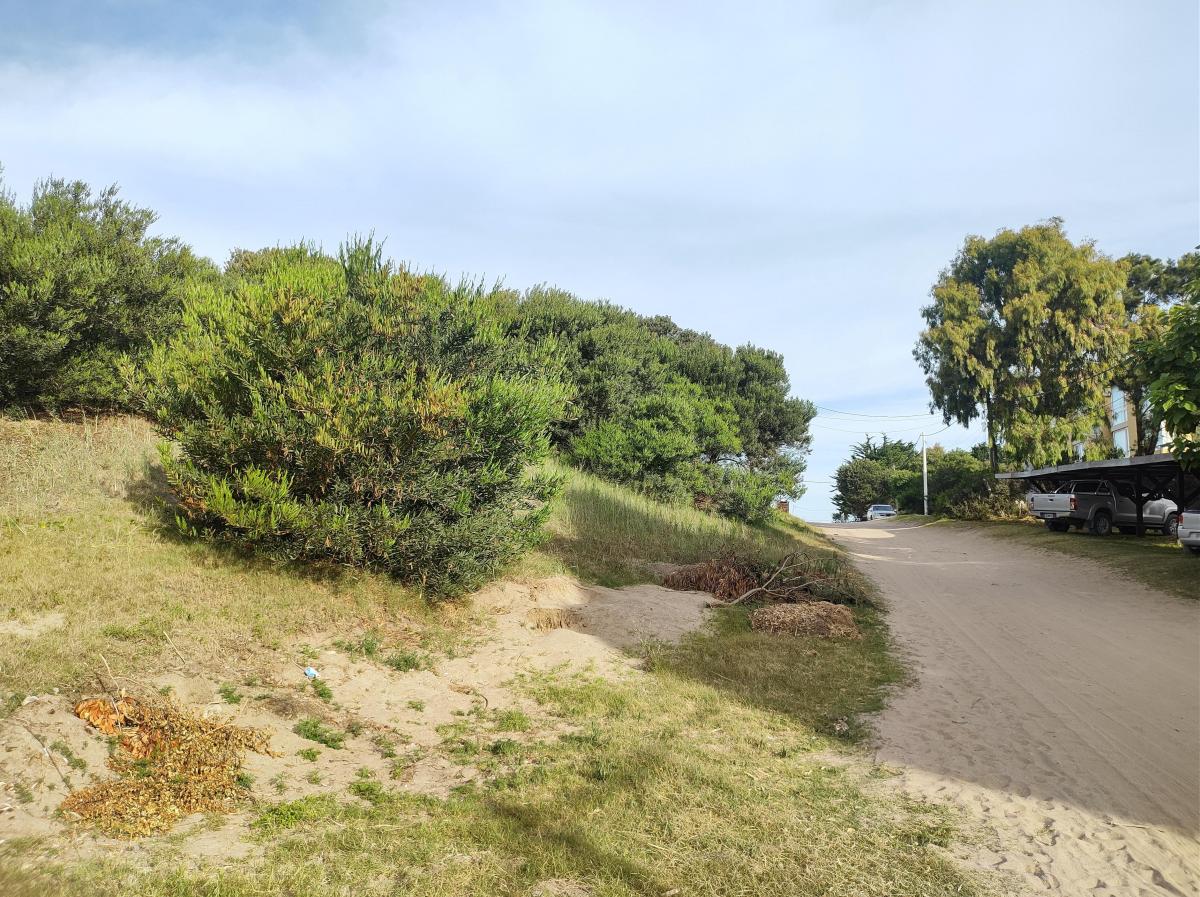 Lote Estratégico de 1250 m. Planos Aprobados 1300 m 12 Unidades Aprobadas 1