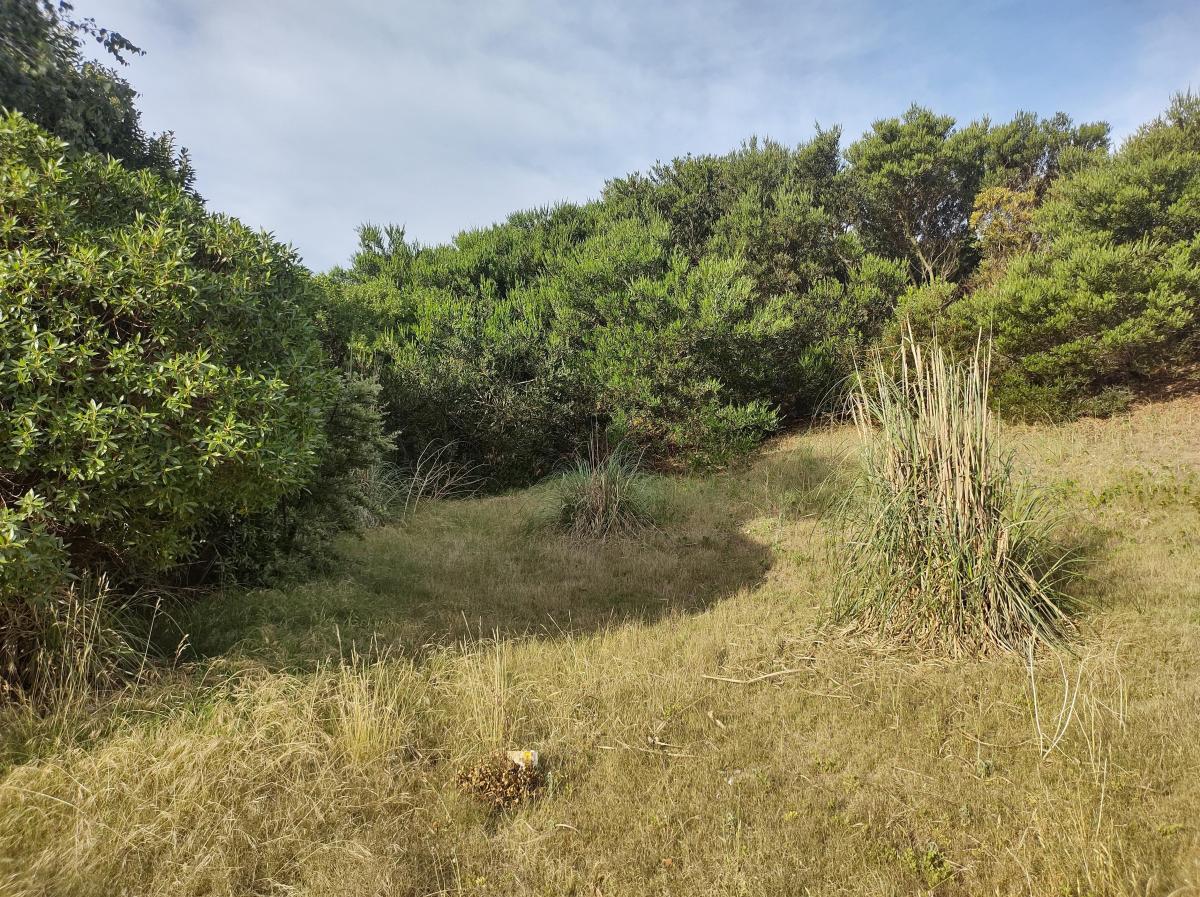 Lote Estratégico de 1250 m. Planos Aprobados 1300 m 12 Unidades Aprobadas 5