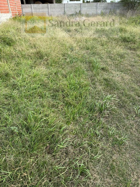 Foto de VENTA-LA OPORTUNIDAD DE TENER TU LOTE “HOY”, imagen 4