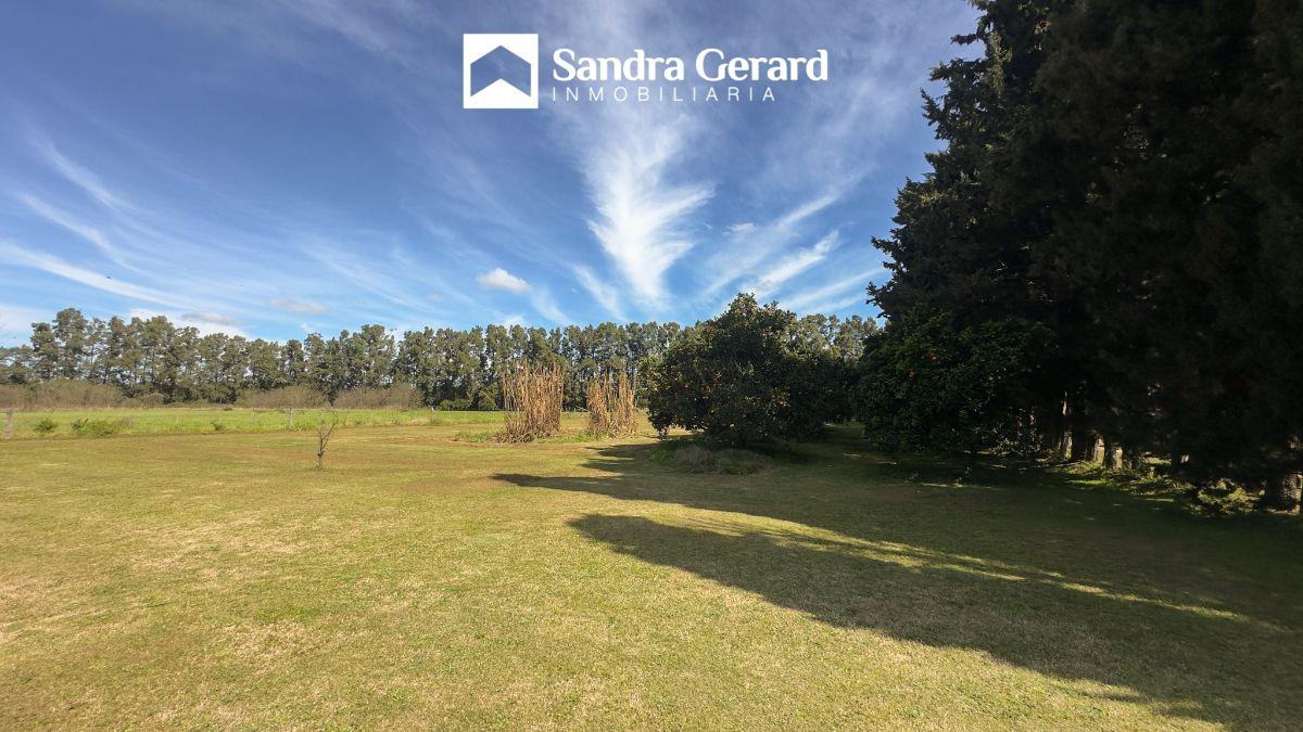 Foto de VENTA- SAN PEDRO-CASAQUINTA EN LOS AZAHARES | 7.214 M², PILETA Y AMPLIO, imagen 4