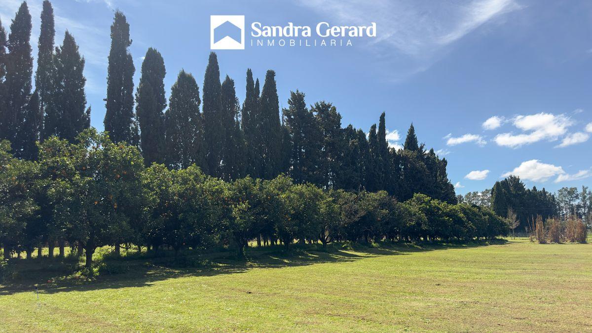 Foto de VENTA- SAN PEDRO-CASAQUINTA EN LOS AZAHARES | 7.214 M², PILETA Y AMPLIO, imagen 5