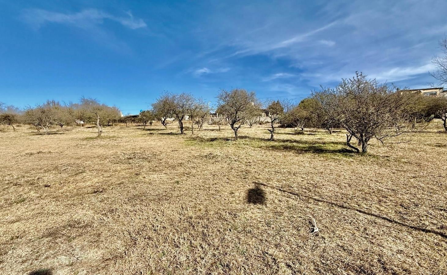 Foto de Venta Terreno 1300m2 parque Siquiman., imagen 2