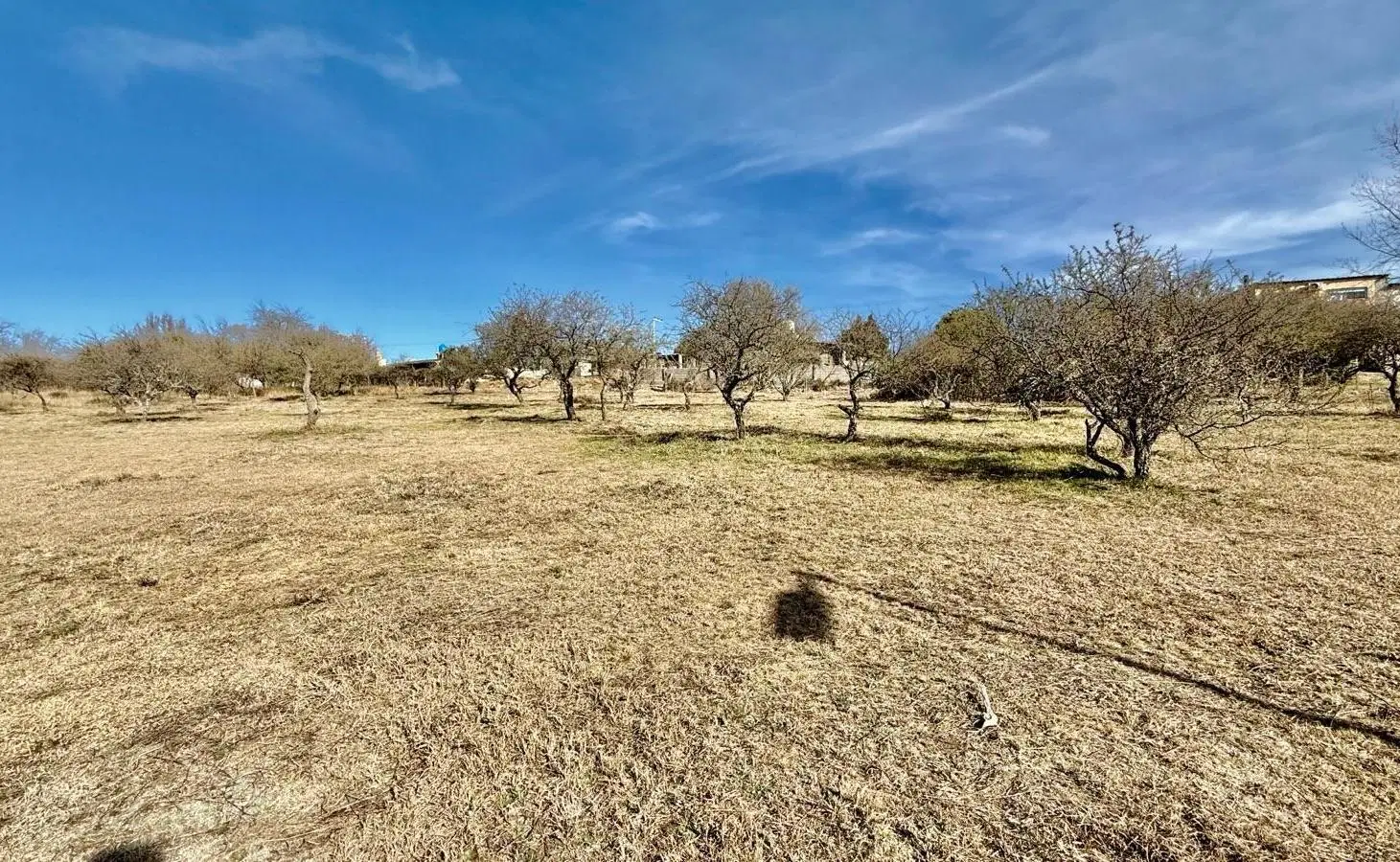 Venta Terreno 1300m2 parque Siquiman. 2