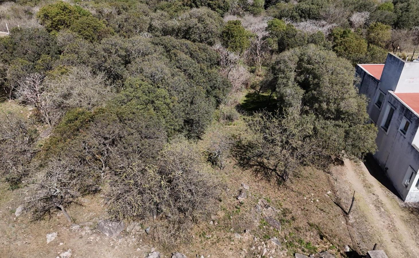 Foto de Terreno en venta en Tierralta, Macrolote 8A, Malagueño, imagen 1