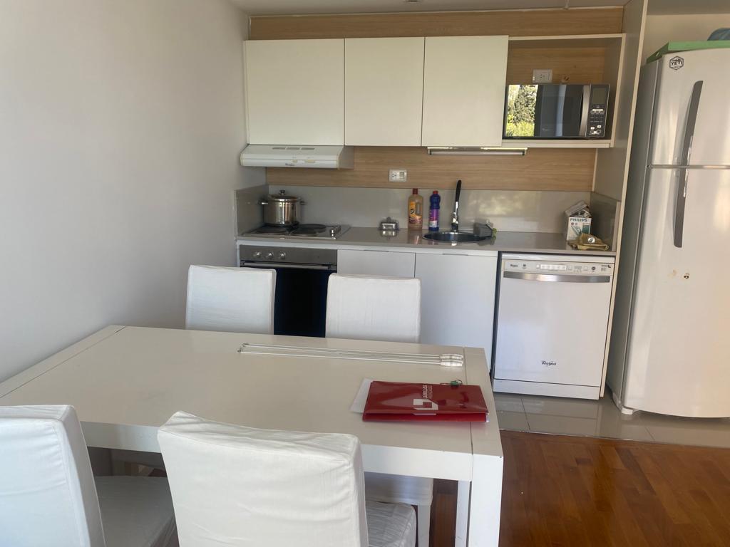 Foto de 2 AMB 100 M2 CON TERRAZA PROPIA Y COCHERA PRECIO PAQUETE AMUEBLADO, imagen 3